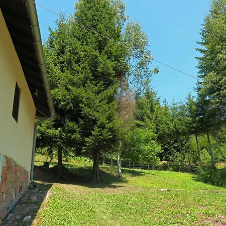 Planinska Kuca Palacinka Holiday home Despotovac