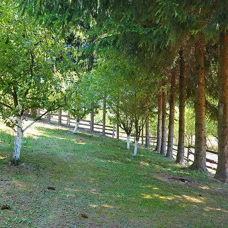 Planinska Kuca Palacinka Holiday home Despotovac