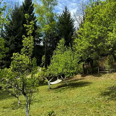 Planinska Kuca Palacinka Holiday home